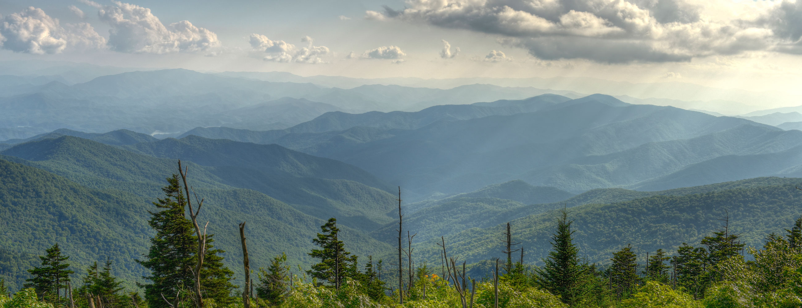 ChinaBazarr ChinaBazarr